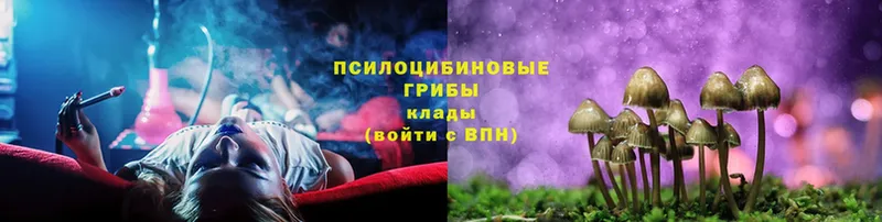 blacksprut маркетплейс  Белоярский  Галлюциногенные грибы мицелий  купить закладку 